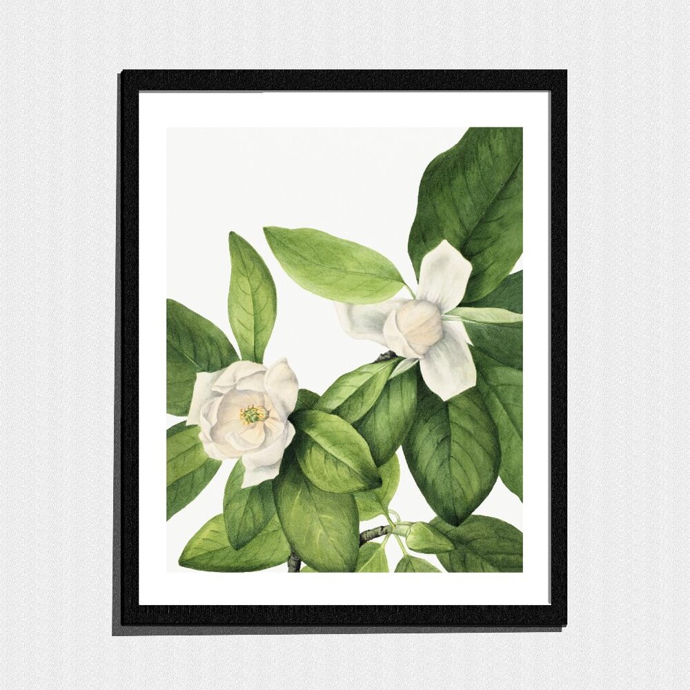 Art Print, White Tropical Botanical Painting